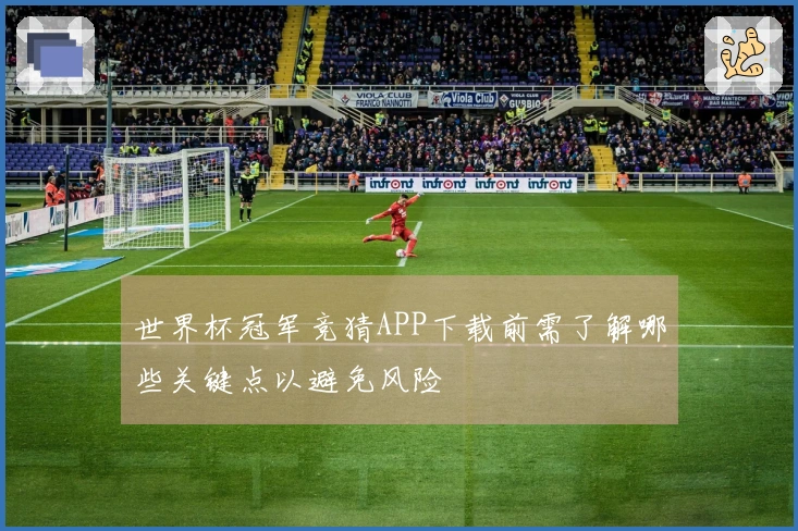 世界杯冠军竞猜APP下载前需了解哪些关键点以避免风险