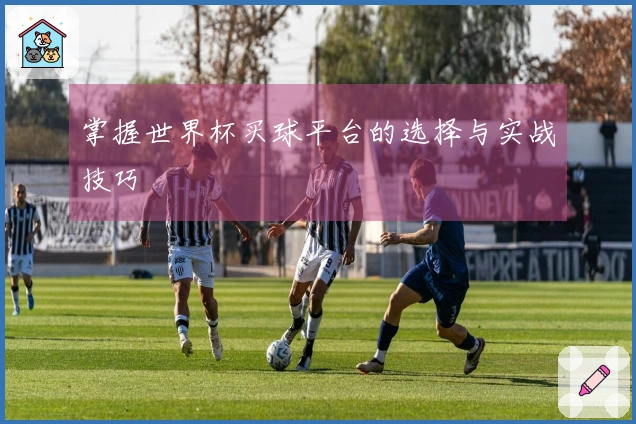 掌握世界杯买球平台的选择与实战技巧