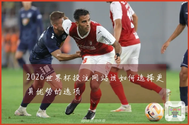 2026世界杯投注网站该如何选择更具优势的选项