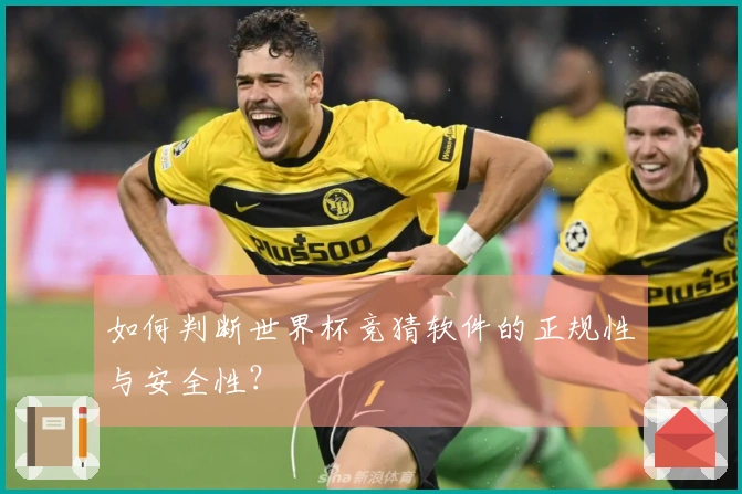 如何判断世界杯竞猜软件的正规性与安全性？
