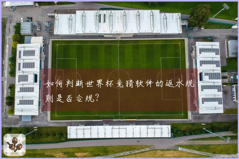 如何判断世界杯竞猜软件的返水规则是否合规？