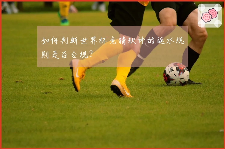 如何判断世界杯竞猜软件的返水规则是否合规？